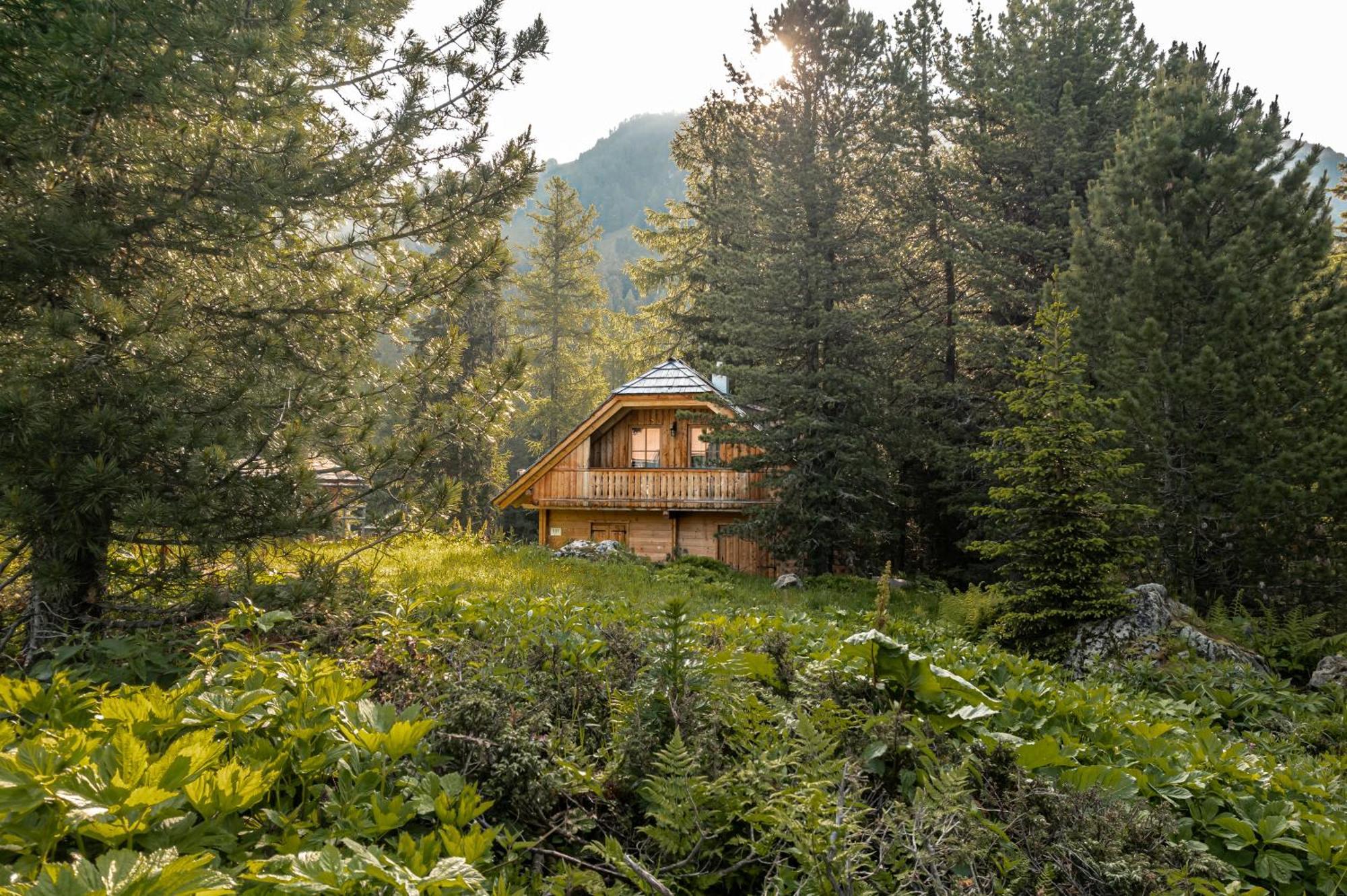 Alpin-Huetten Auf Der Turracherhoehe Haus Murmeltier By S4Y Turracher Hoehe Ngoại thất bức ảnh